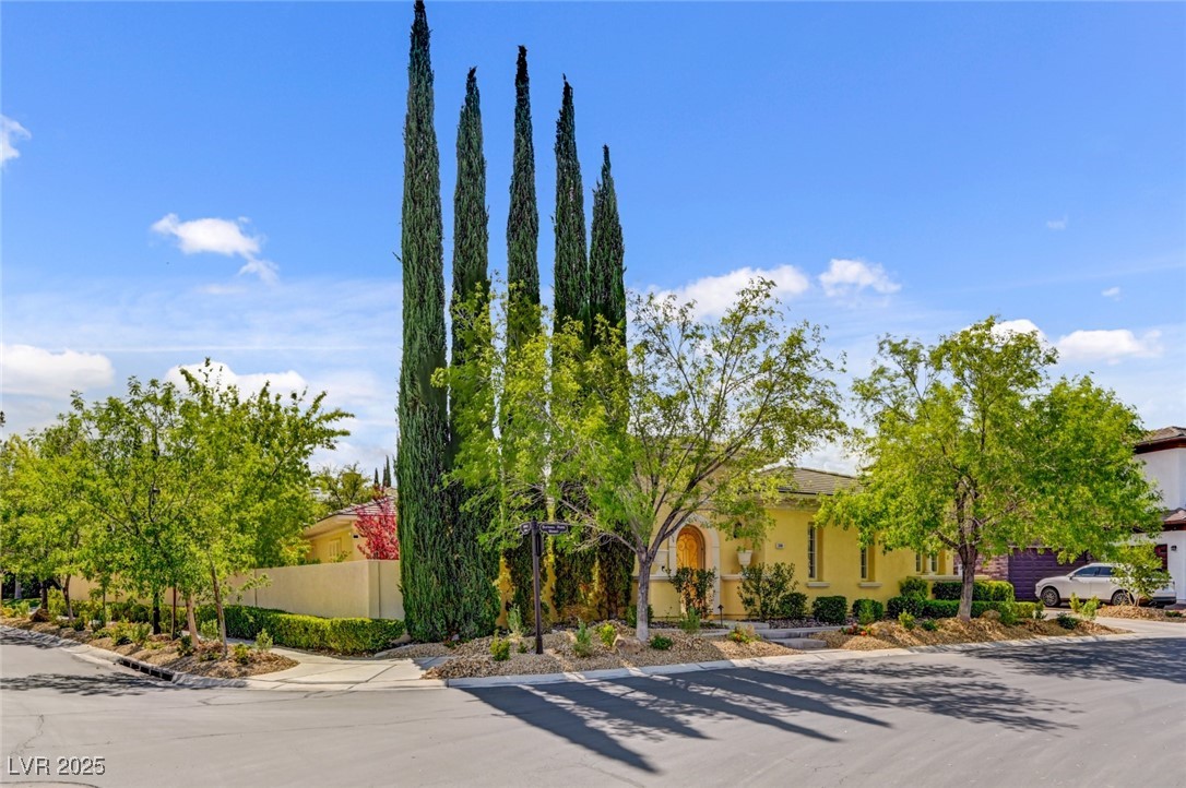 209 Surtees Point Street Las Vegas, NV 89144 - Photo 18 of 73