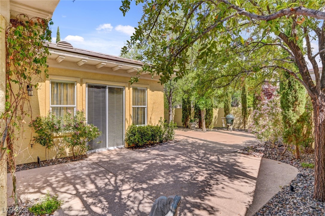 209 Surtees Point Street Las Vegas, NV 89144 - Photo 68 of 73