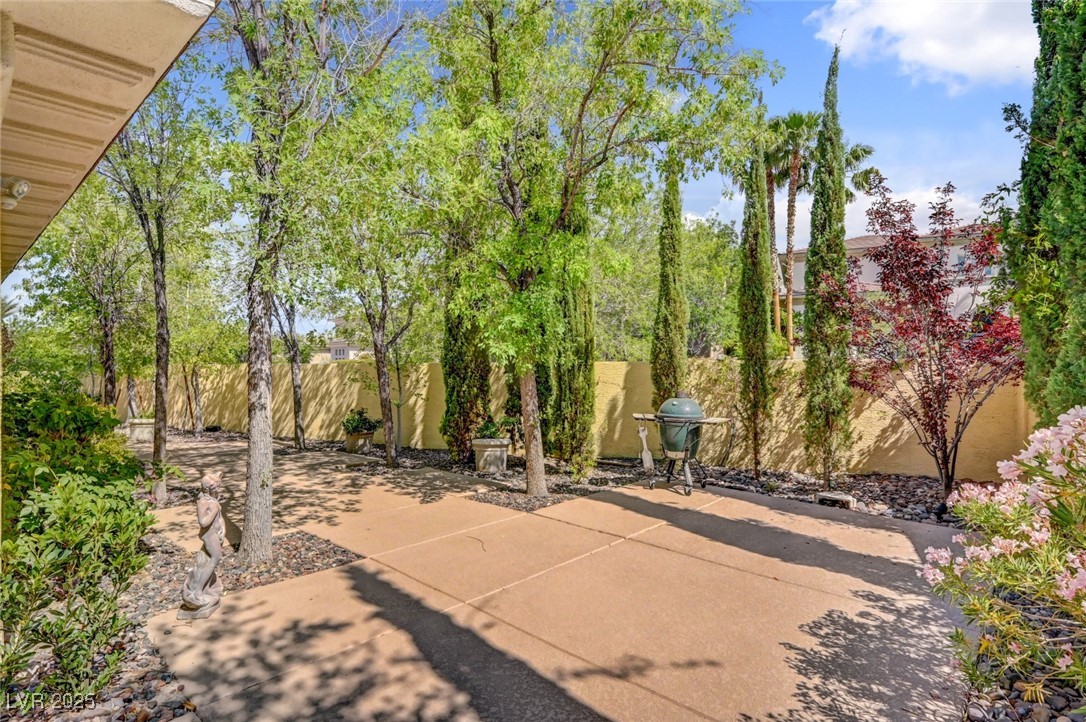 209 Surtees Point Street Las Vegas, NV 89144 - Photo 69 of 73