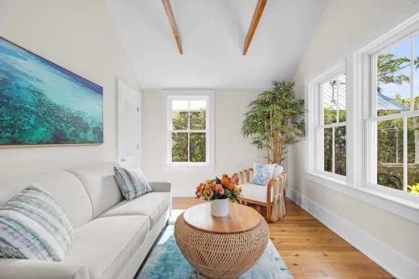 a living room with furniture and a potted plant