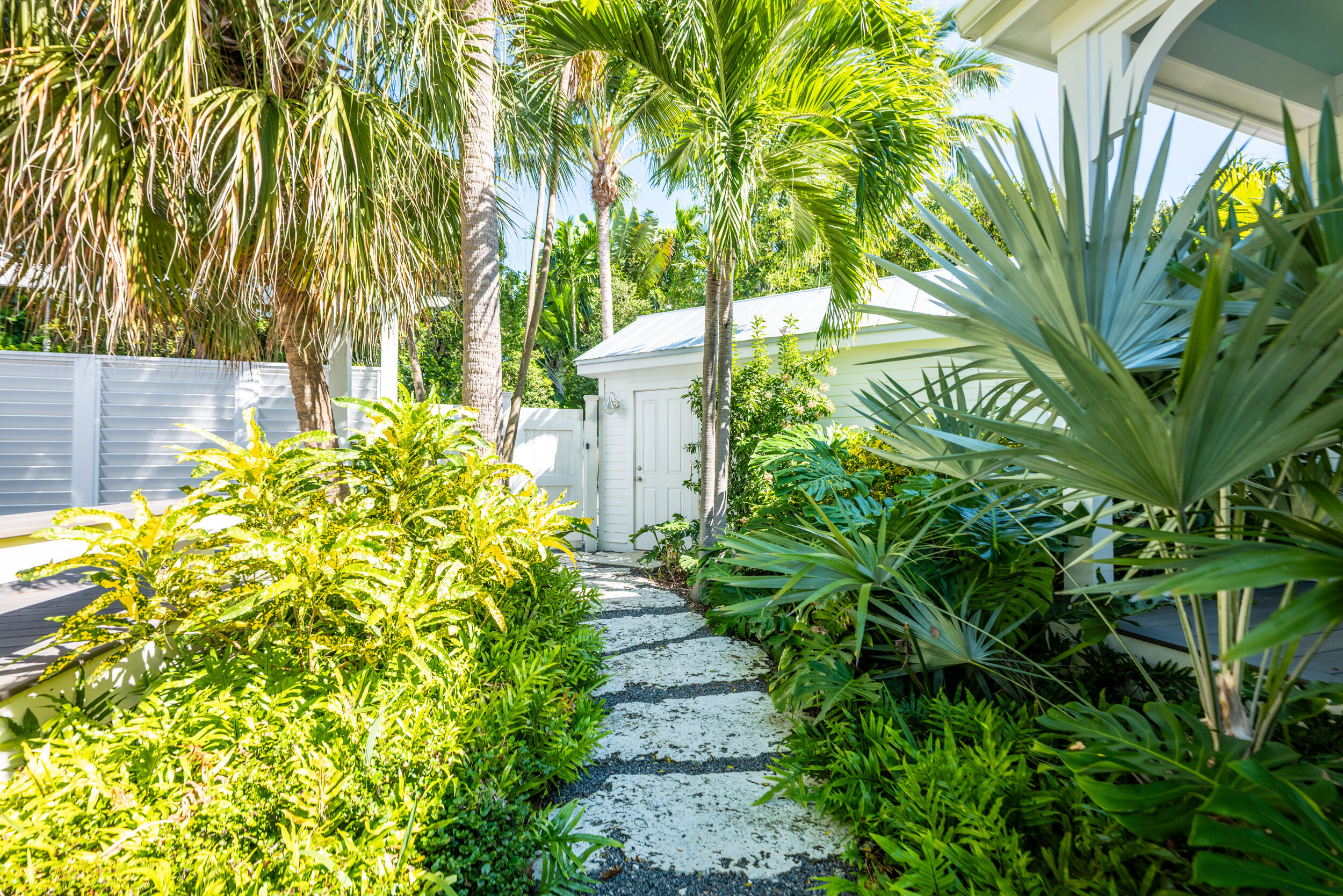 616 Eaton Street Key West, FL 33040 - Photo 54 of 62 a plant that is in front of a house