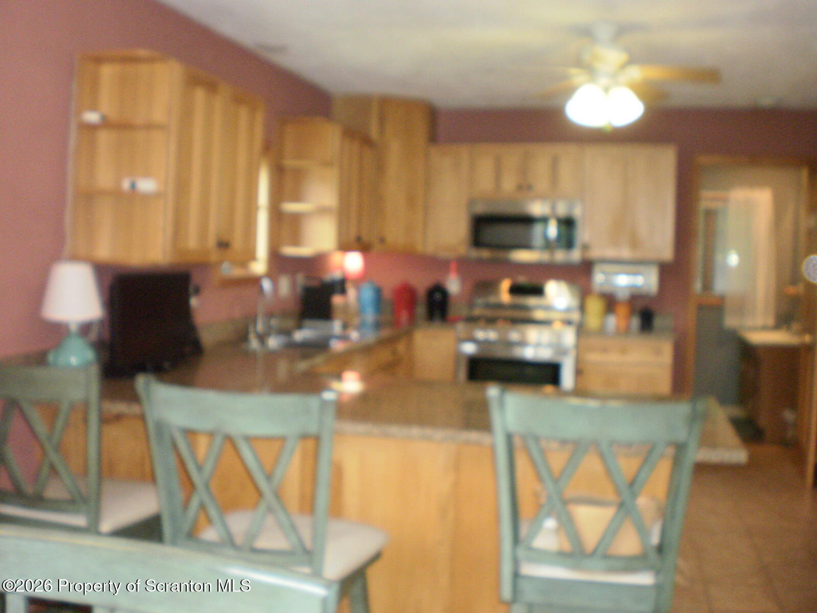 2669 East Lake Road New Milford, PA 18834 - Photo 20 of 75 P1012122 - Copy (2)