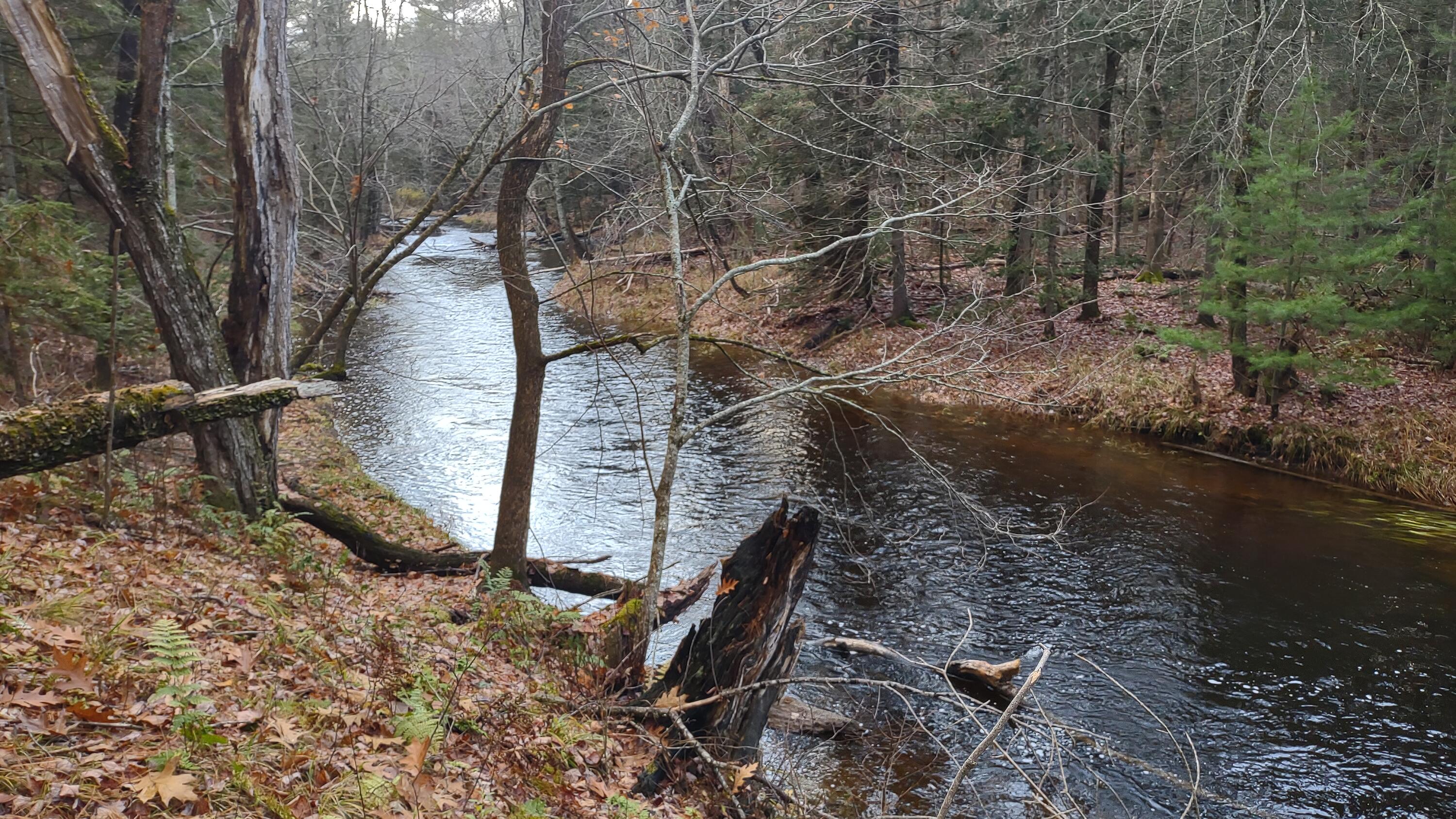 Lot 19 Brewer Lake Road Orrington, ME 04474 - Photo 4 of 20 IMG_20221025_165433646