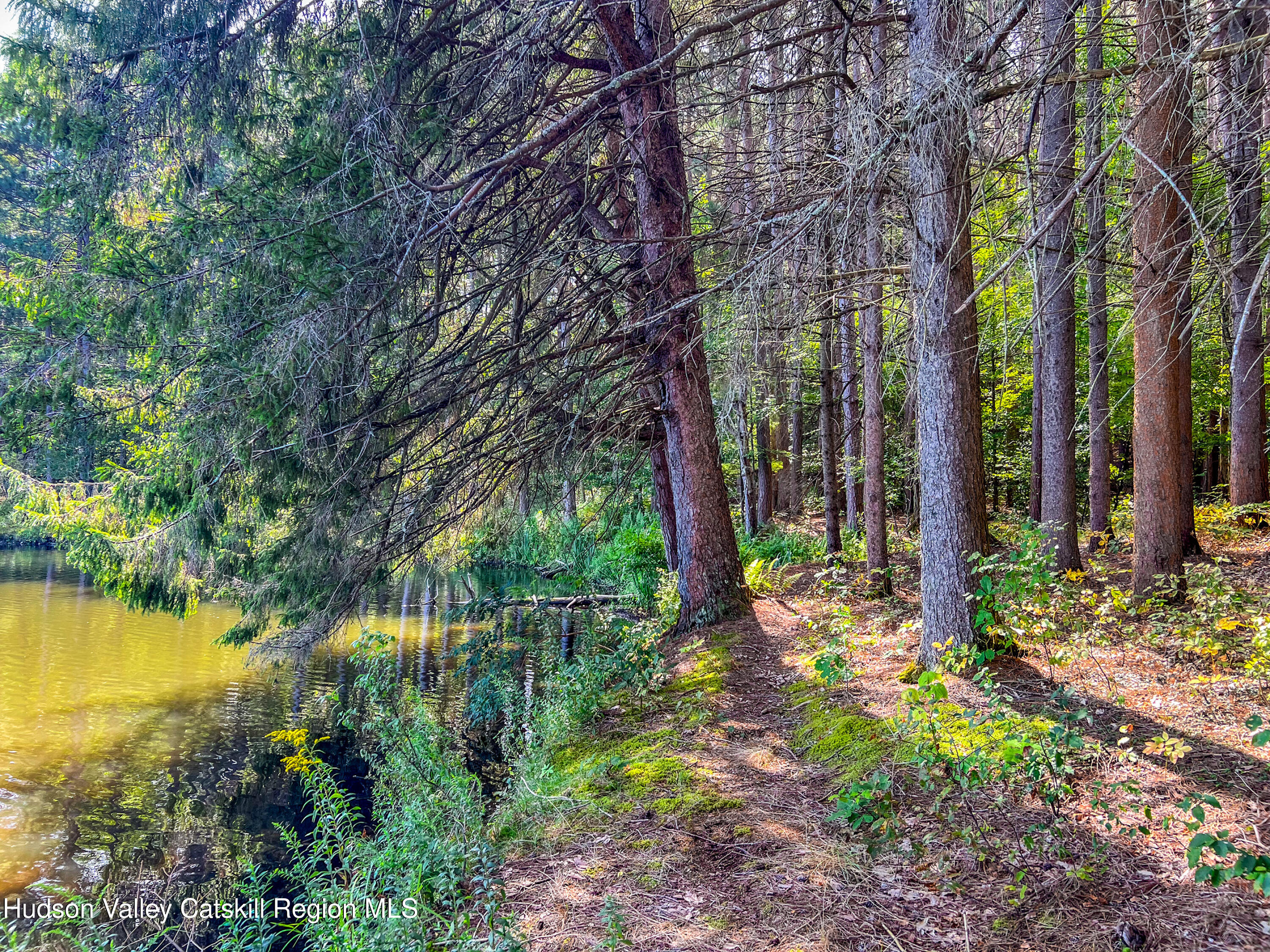 0 East Masonville Pond Road Sidney Center, NY 13839 - Photo 11 of 34 a backyard of a house with lots of green space
