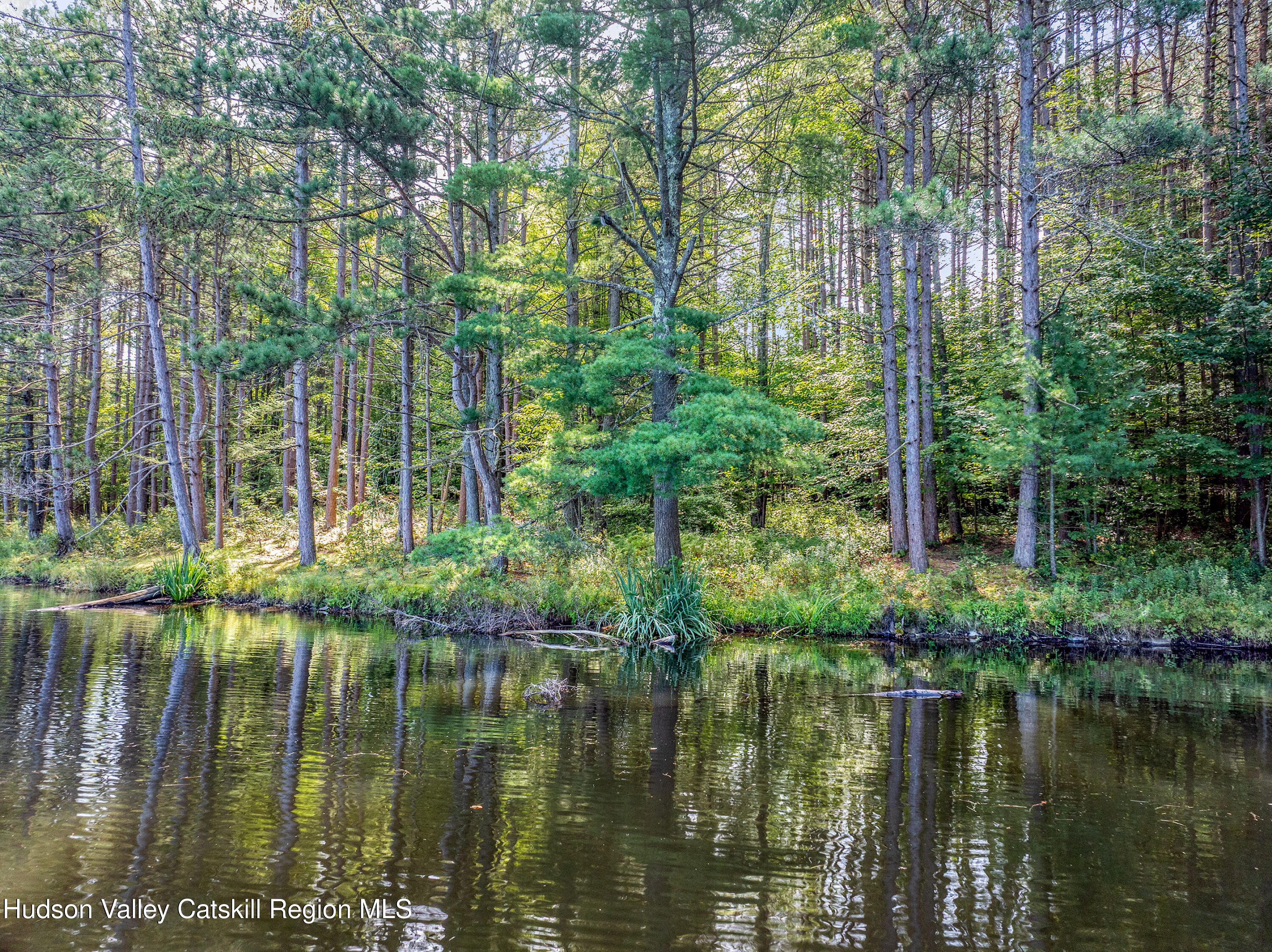 0 East Masonville Pond Road Sidney Center, NY 13839 - Photo 18 of 34