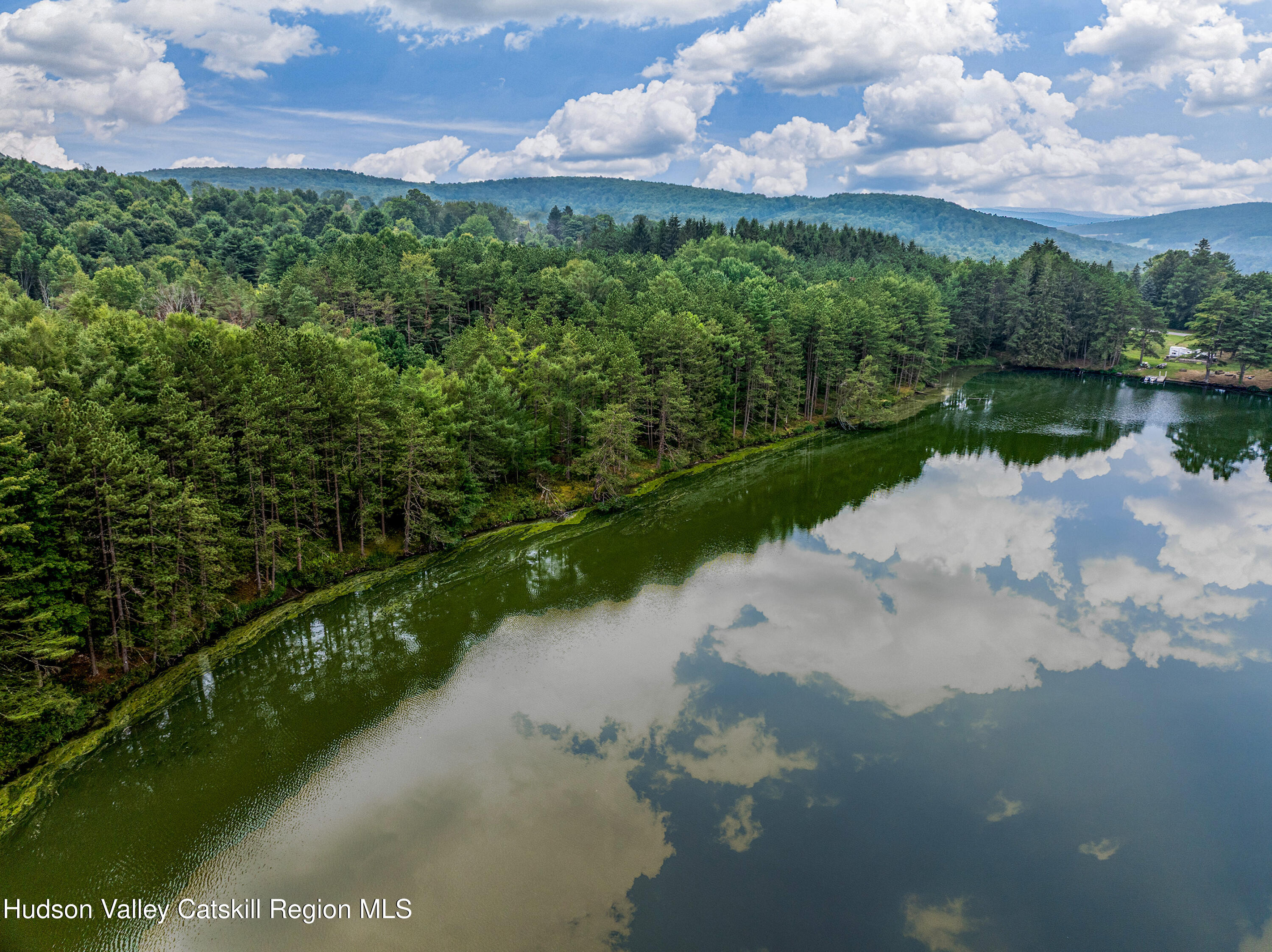 0 East Masonville Pond Road Sidney Center, NY 13839 - Photo 20 of 34 a view of a lake from a yard