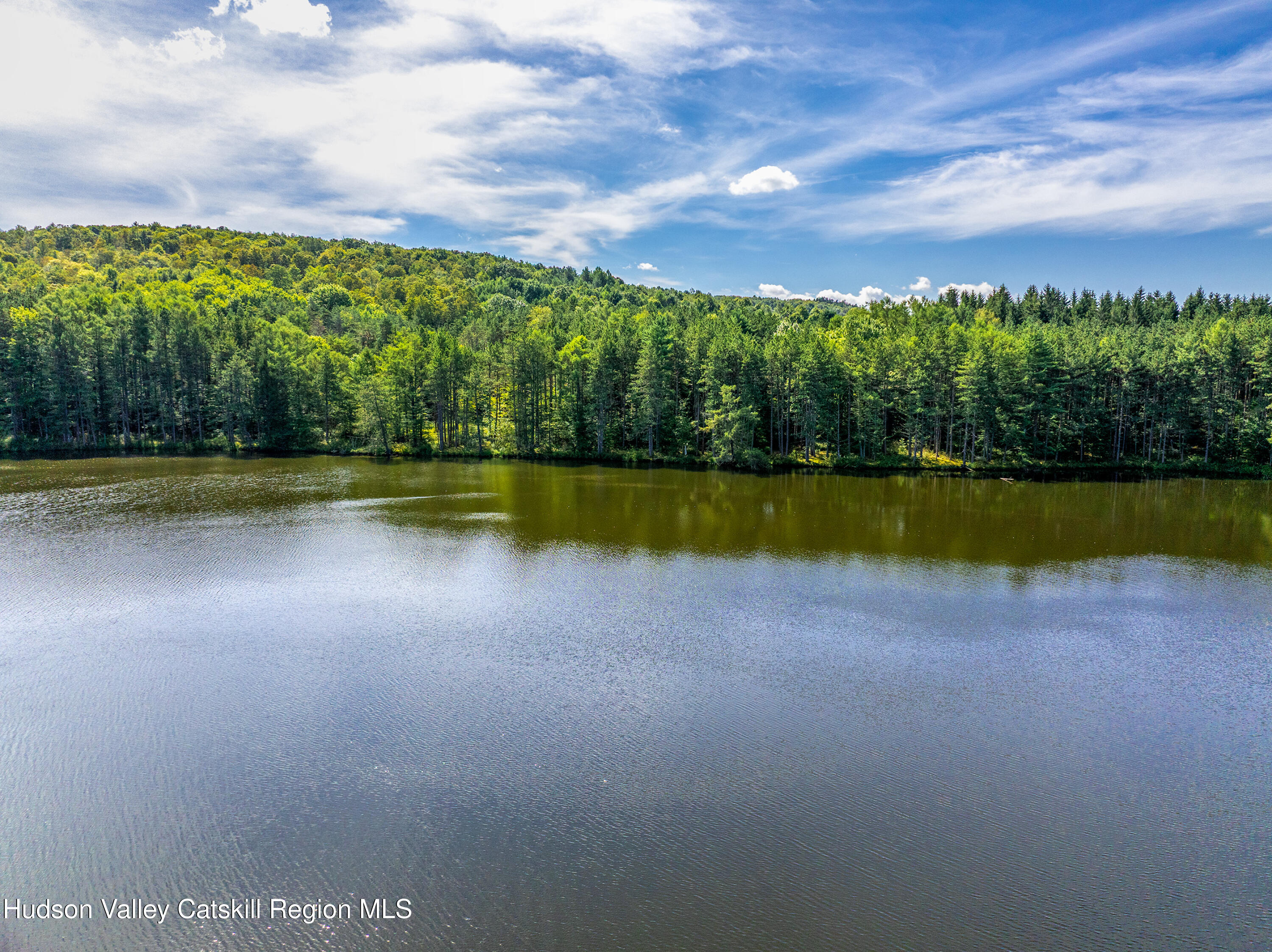 0 East Masonville Pond Road Sidney Center, NY 13839 - Photo 21 of 34