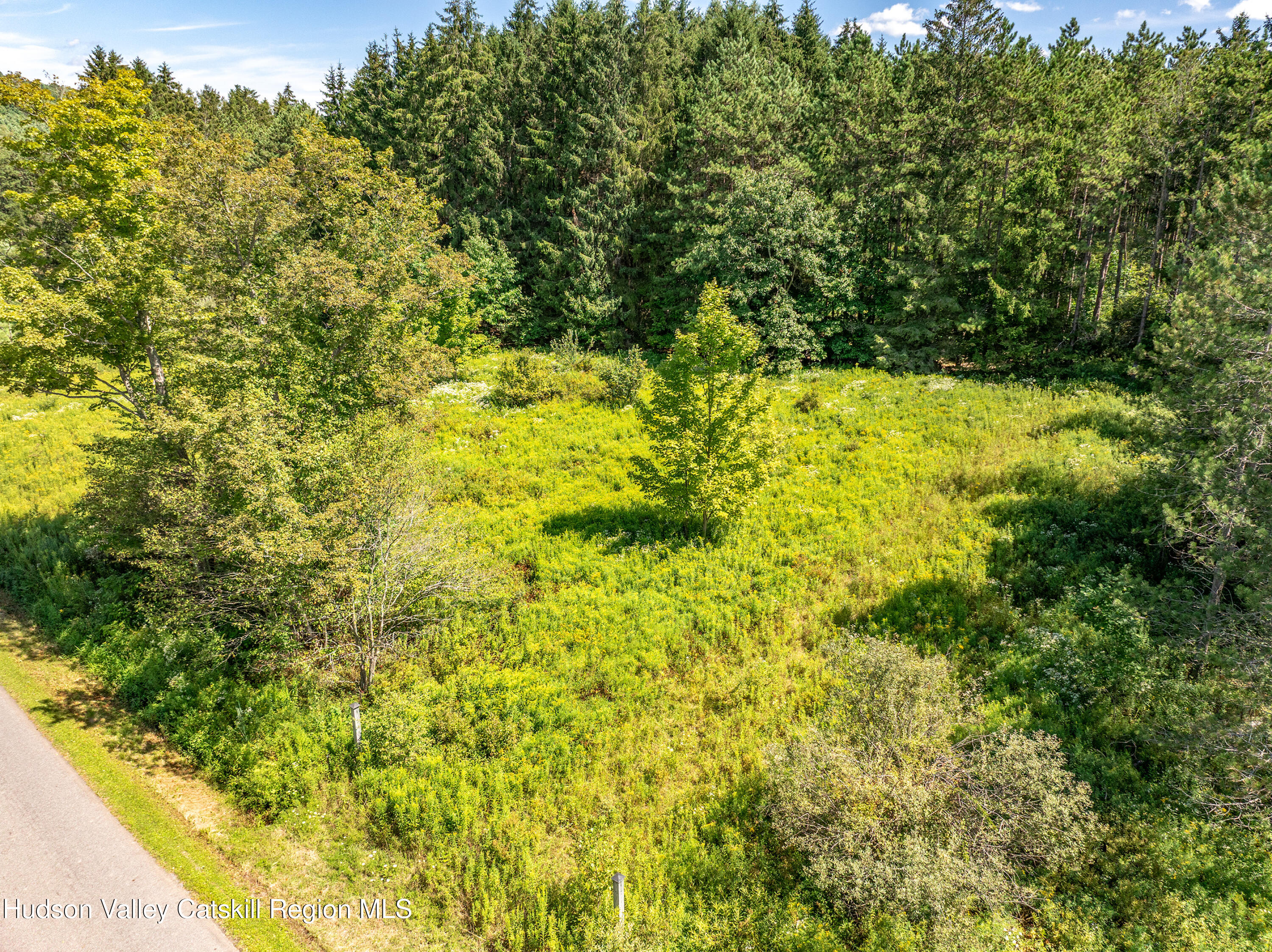 0 East Masonville Pond Road Sidney Center, NY 13839 - Photo 5 of 34 a view of a large yard with plants and large trees