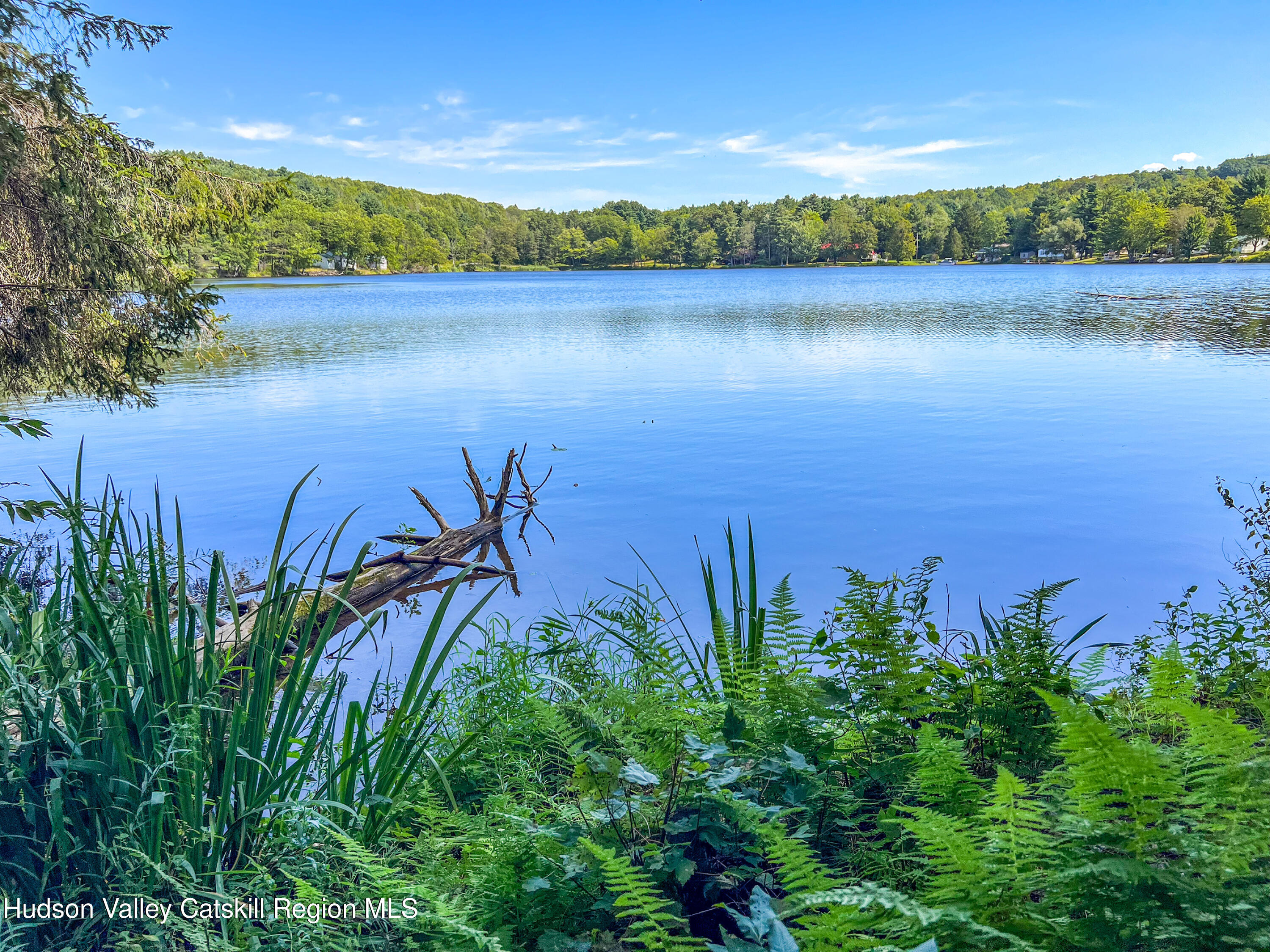 0 East Masonville Pond Road Sidney Center, NY 13839 - Photo 8 of 34 an aerial view of a houses with a lake view