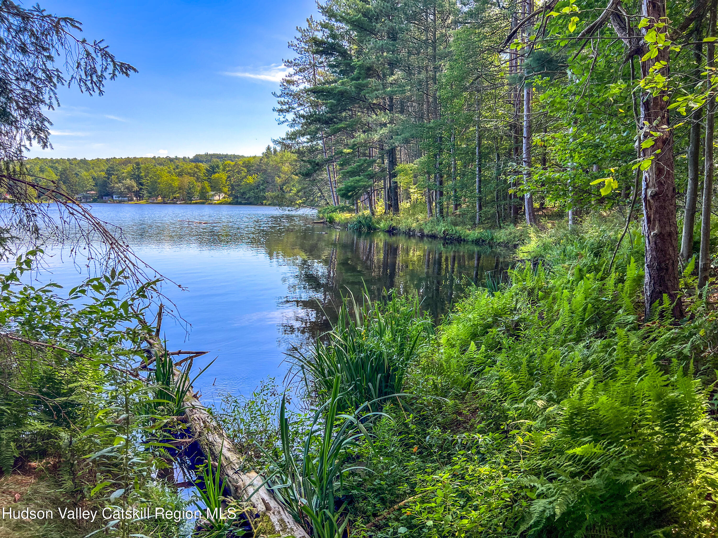 0 East Masonville Pond Road Sidney Center, NY 13839 - Photo 9 of 34 a view of lake with green space