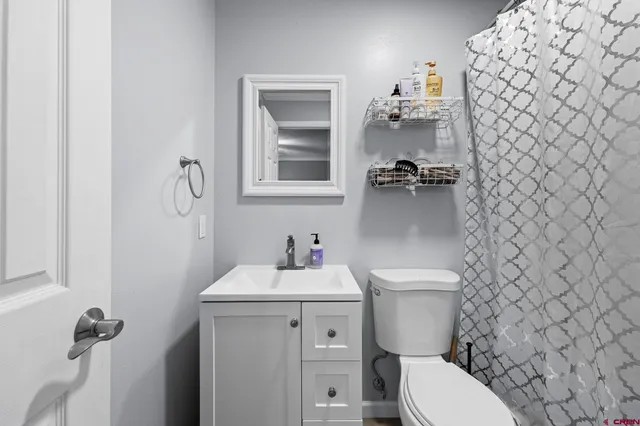 a bathroom with a shower and a toilet