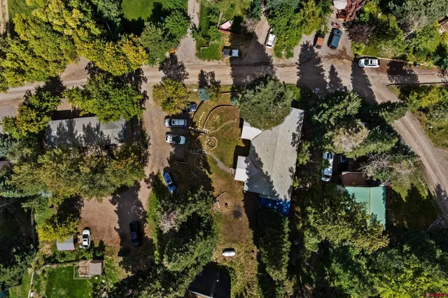 a view of a large tree with a house in background