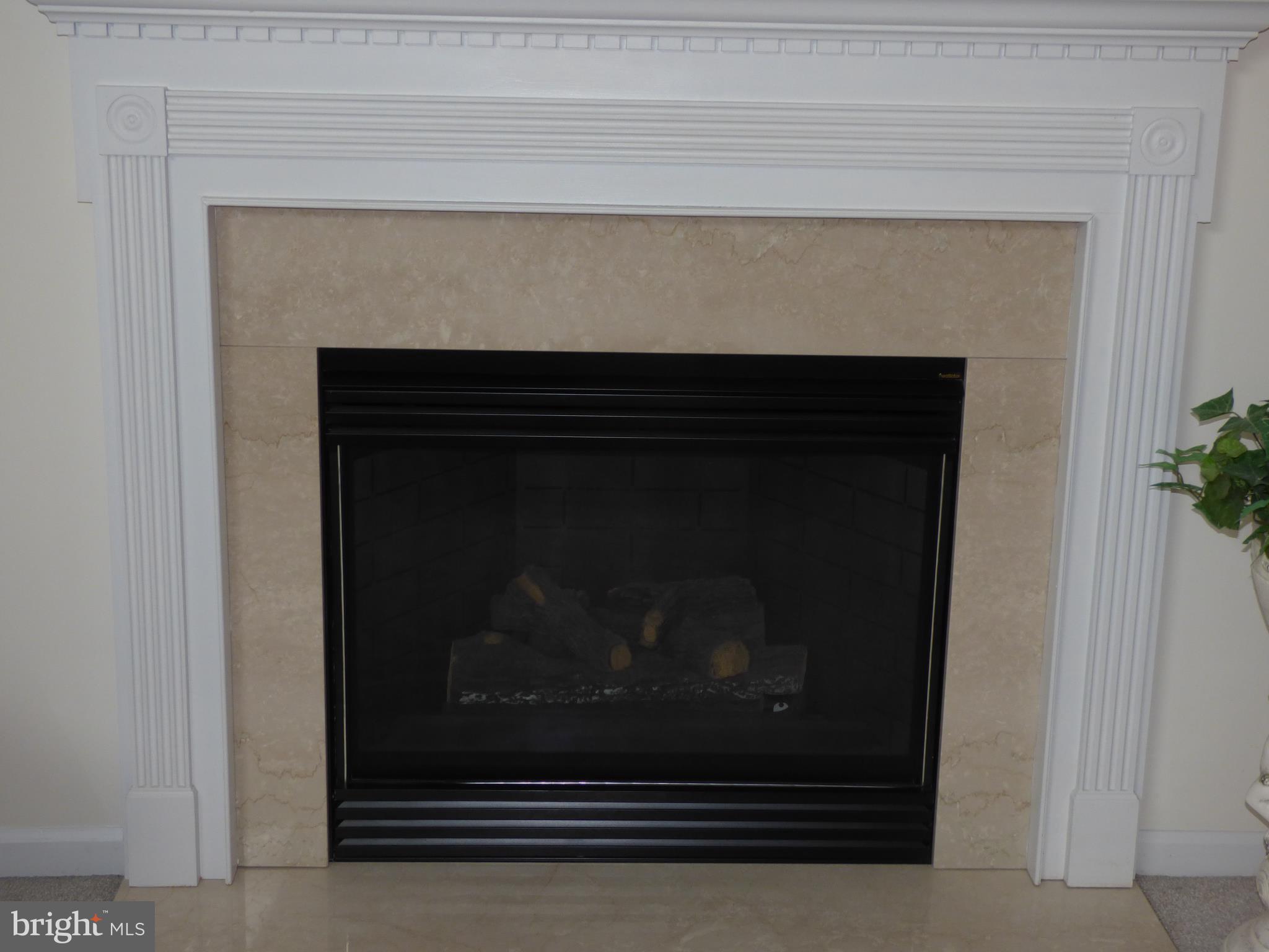 33 Longcross Road Royersford, PA 19468 - Photo 8 of 22 Gad Fireplace