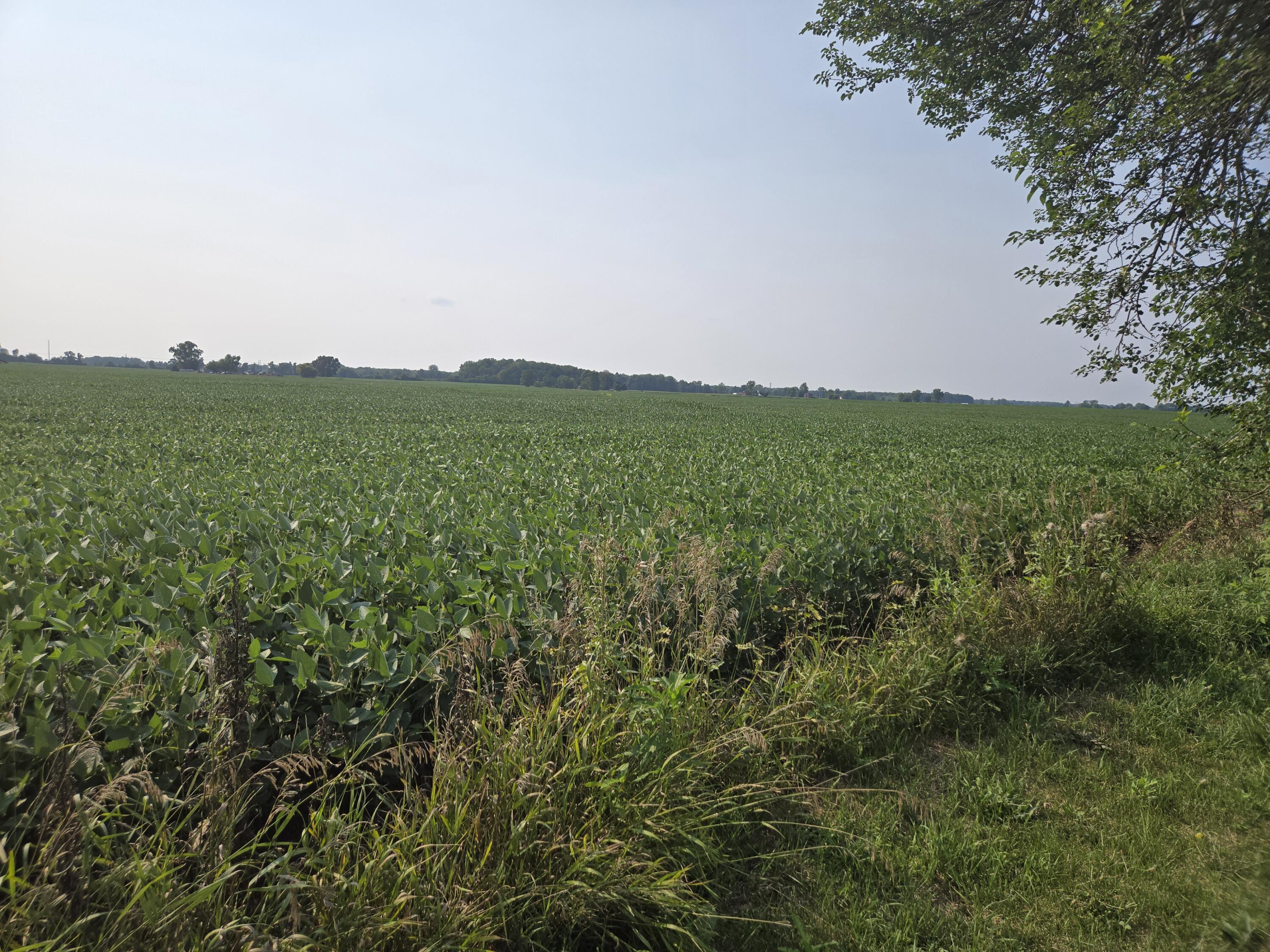 14320 Ostrander Road Maybee, MI 48159 - Photo 66 of 68 20250802_170429