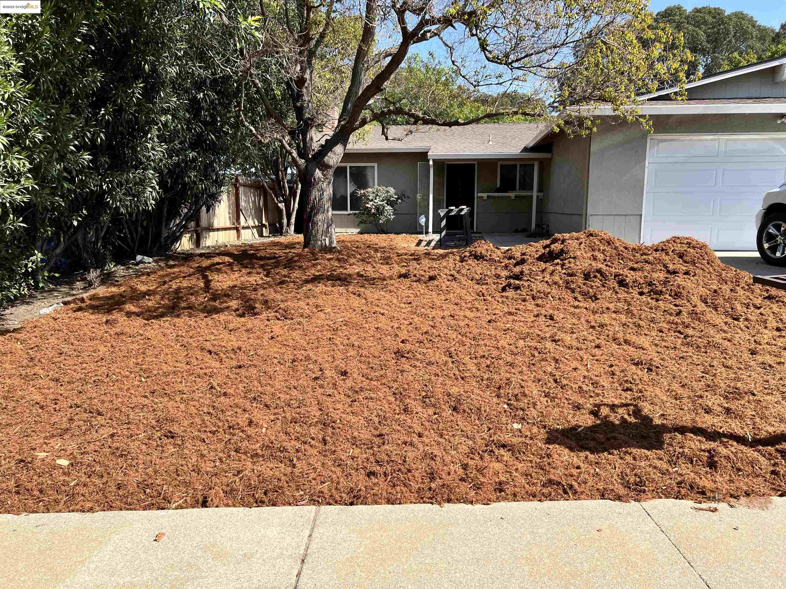 162 Riverside Drive Bay Point, CA 94565 - Photo 2 of 16 a view of a white house with a large tree