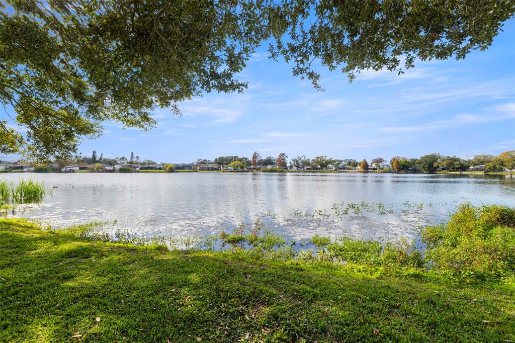 6712 Ranger Drive Tampa, FL 33615 - Photo 36 of 36