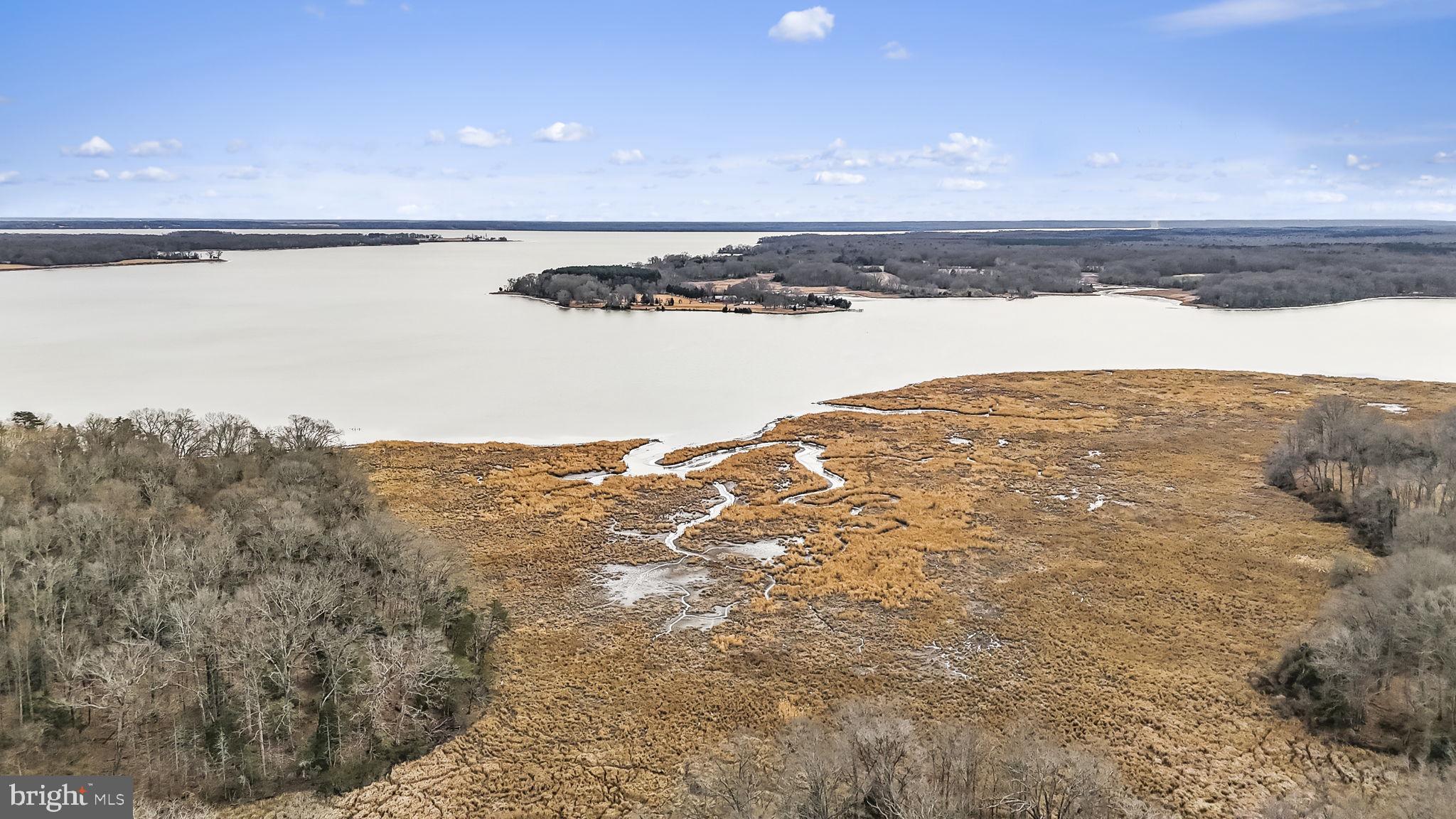 9290 Gunston Road Welcome, MD 20693 - Photo 61 of 64