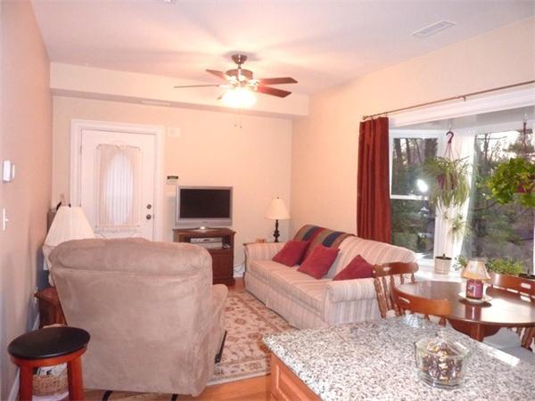 59 Gilman Road Waltham, MA 02452 - Photo 25 of 30 a living room with furniture and a flat screen tv