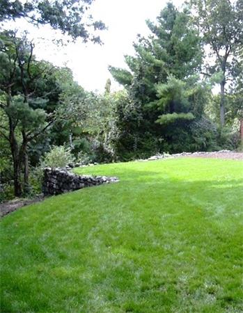 59 Gilman Road Waltham, MA 02452 - Photo 30 of 30 a view of green field with trees in the background