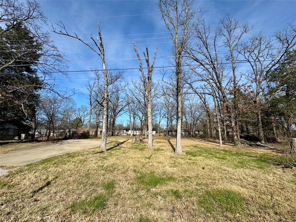 Tbd Shady Lane Canton, TX 75103 - Photo 1 of 5 a backyard of apartments with large trees