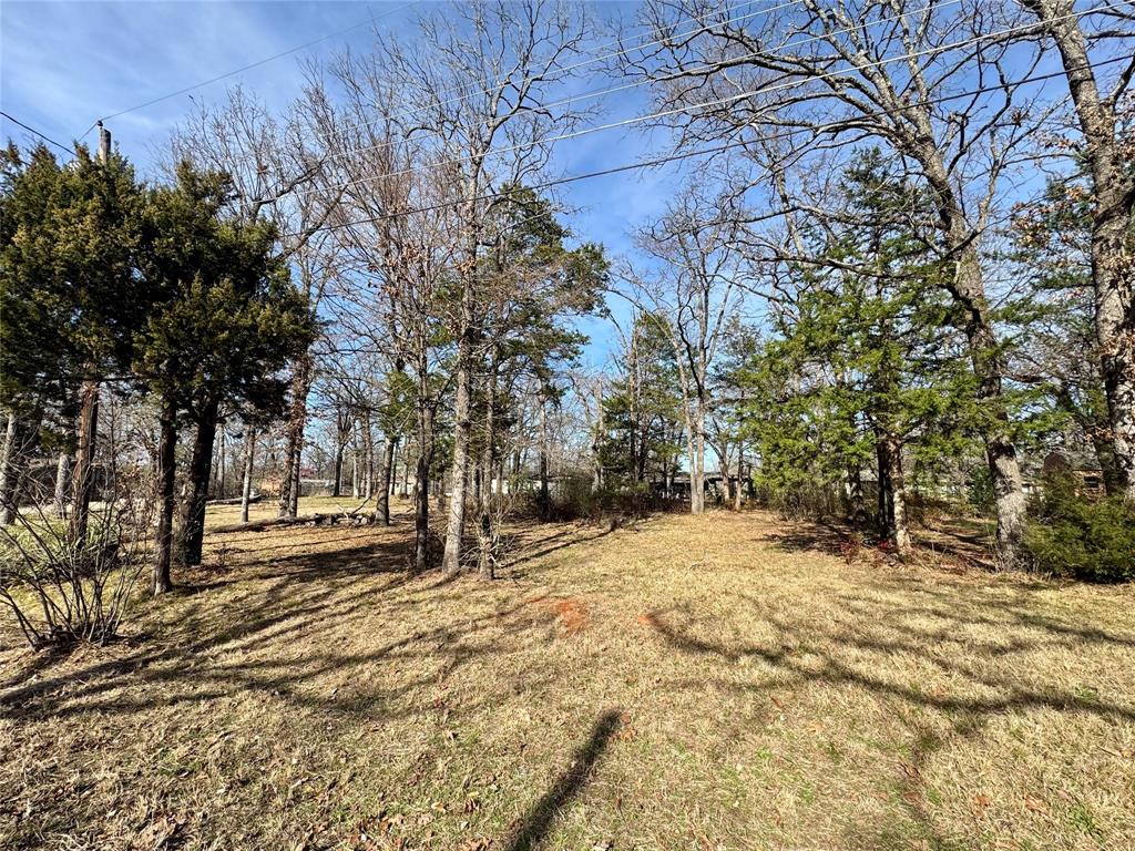 Tbd Shady Lane Canton, TX 75103 - Photo 2 of 5 a view of empty space with trees