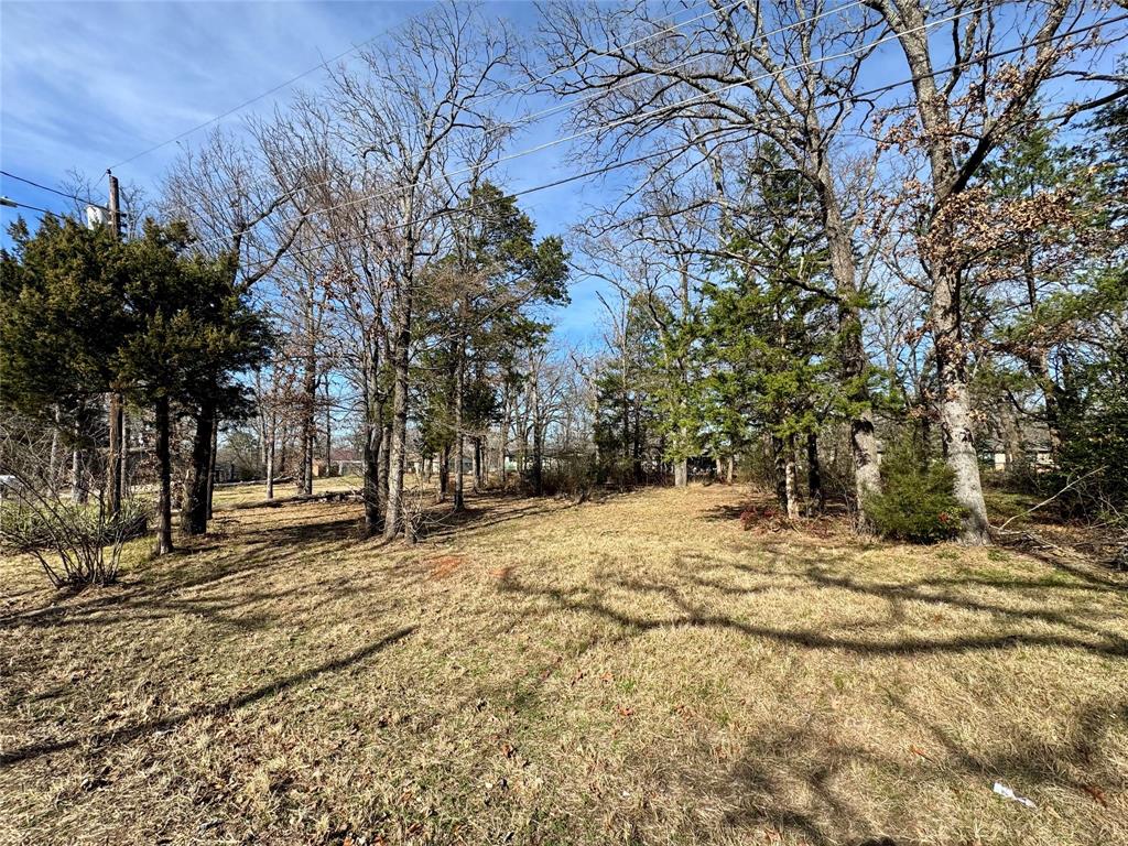 Tbd Shady Lane Canton, TX 75103 - Photo 4 of 5 a view of empty space with large trees