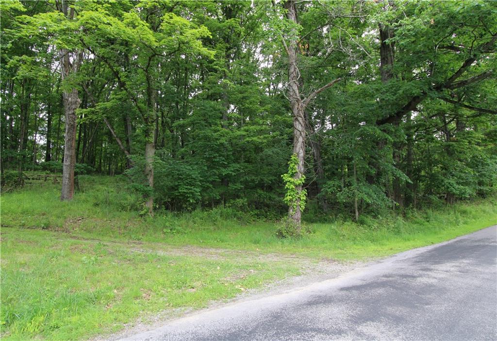 0 Campground Road West Middlesex, PA 16159 - Photo 3 of 12