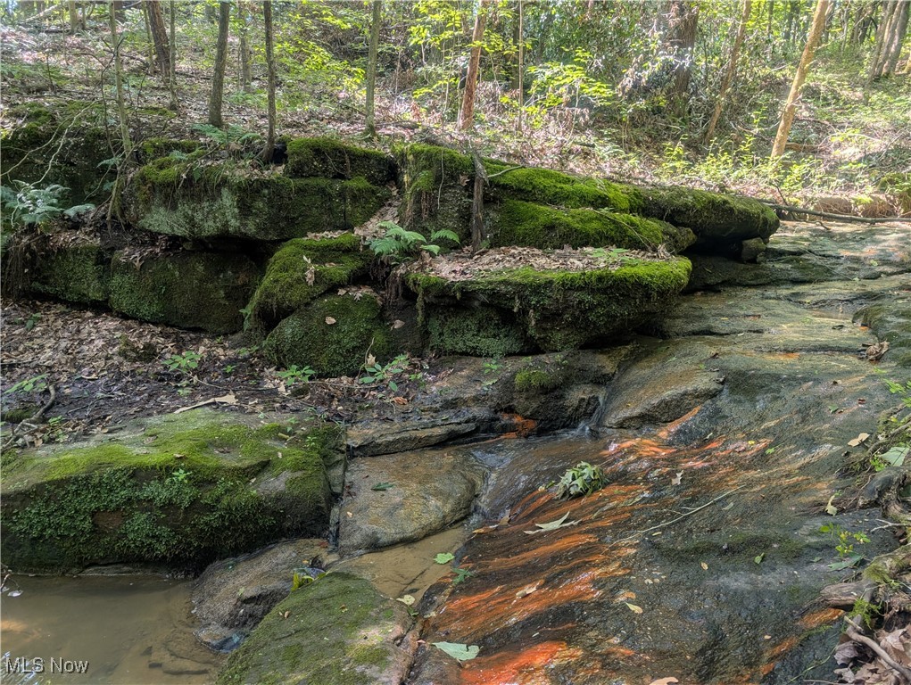 Toll Gate Road Northwest Somerset, OH 43783 - Photo 18 of 40 View of local wilderness