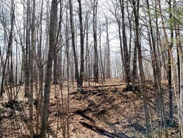 9363 Shore Rd Road Harshaw, WI 54529 - Photo 19 of 19 Gallery Image 19