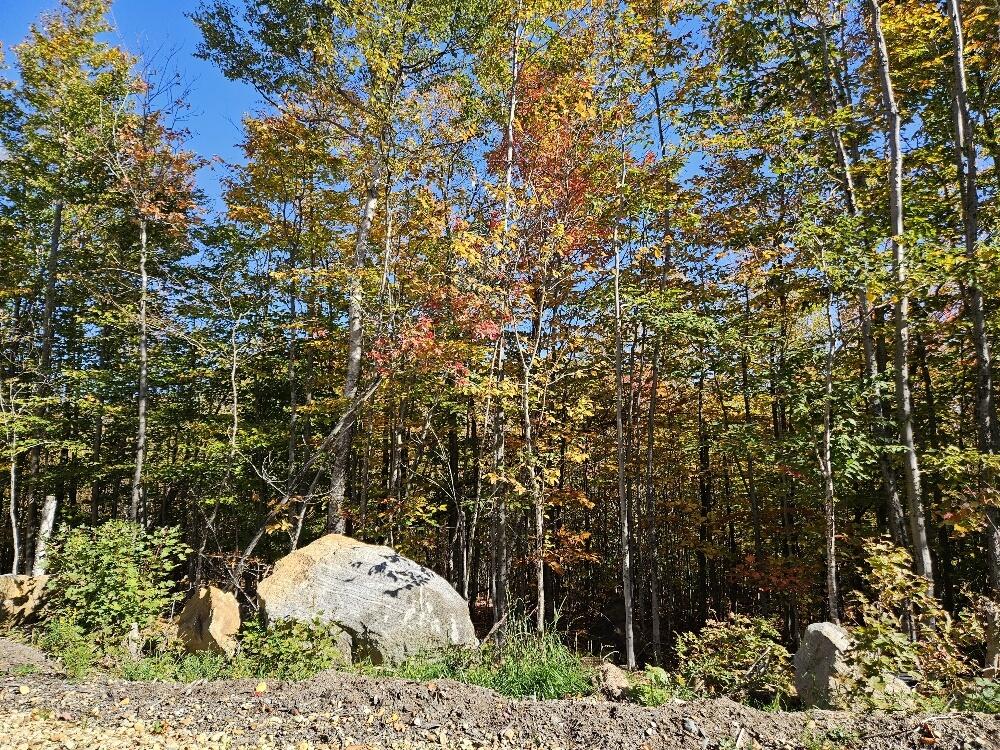 Lot 9 East Moose Alley Road Temple, ME 04984 - Photo 8 of 46