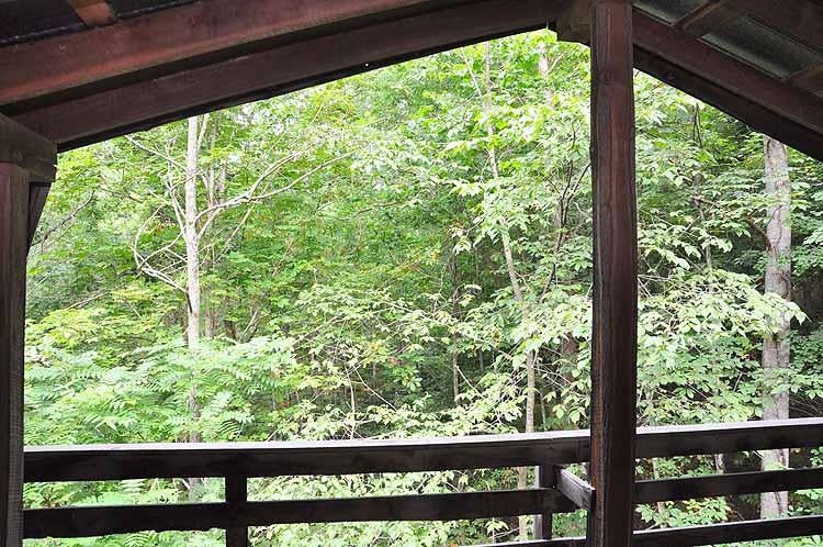 100 Ramp Road Sandstone, WV 25985 - Photo 21 of 55 Gallery Image 21