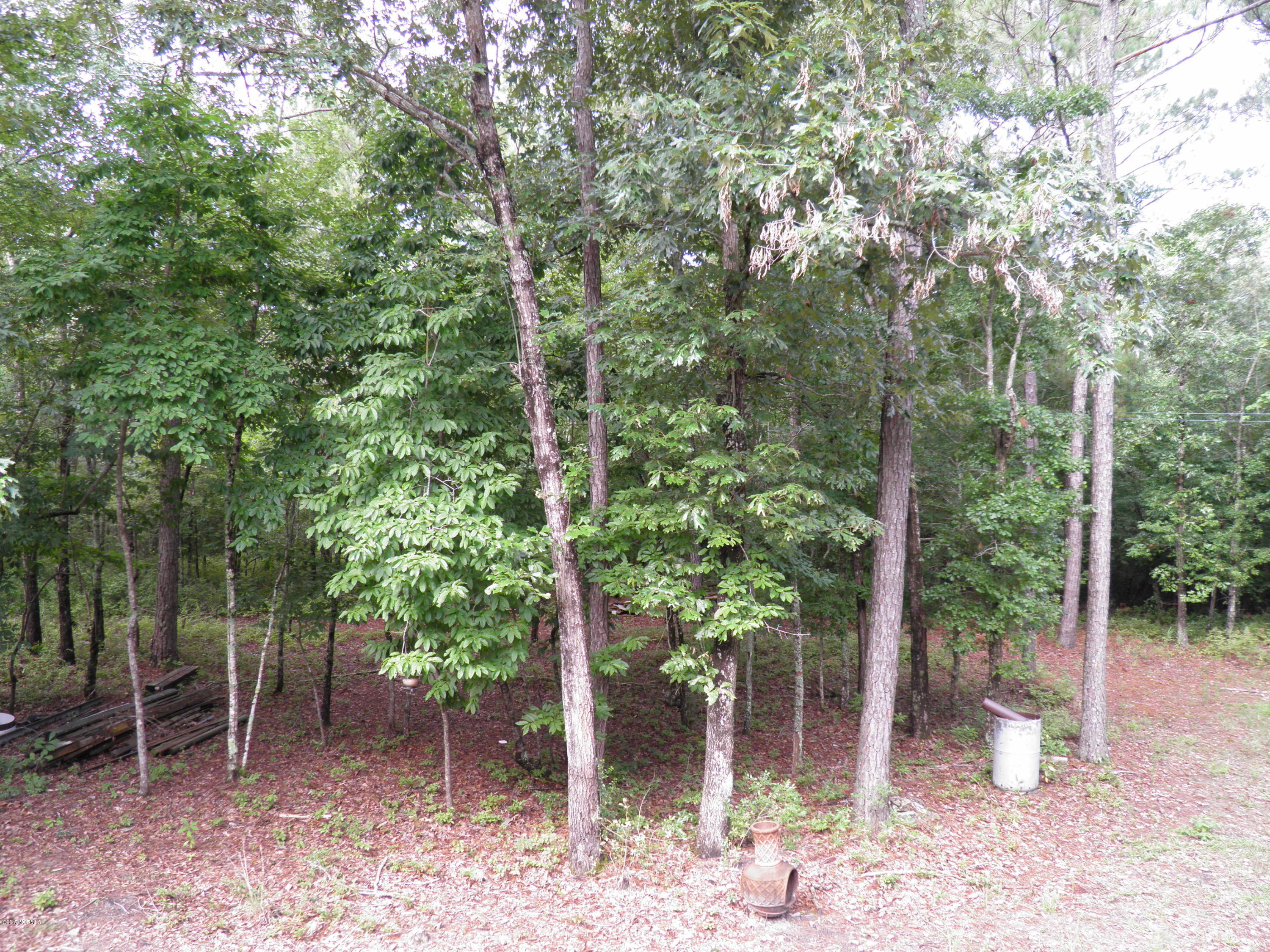 301 Jeff Road Arapahoe, NC 28510 - Photo 58 of 67 P8100234