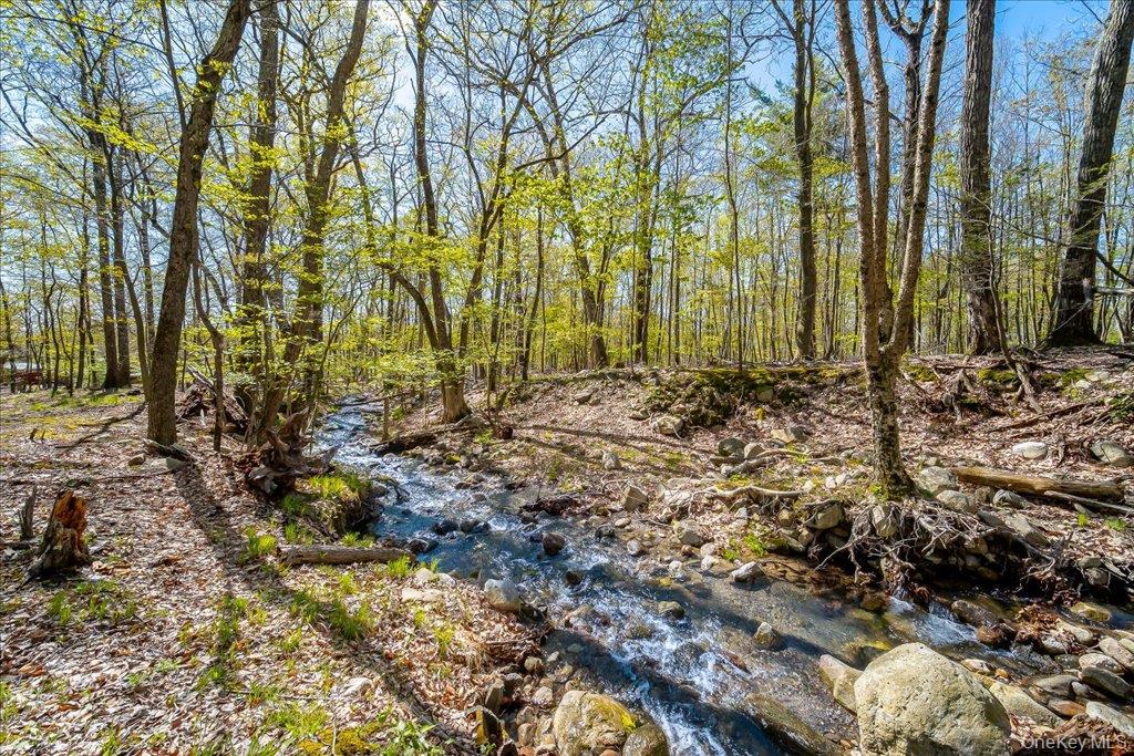 80 Jones Road Pine Bush, NY 12566 - Photo 7 of 44