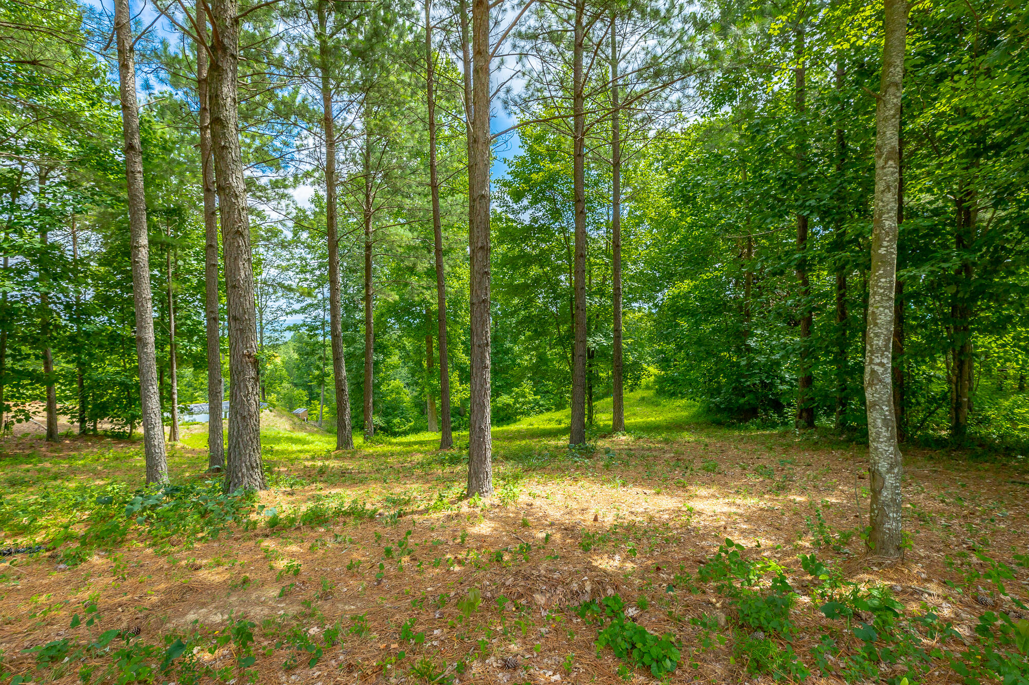 0 Lookout View Drive, Unit 171 Jasper, TN 37347 - Photo 11 of 72 Lookout View Drive Lot 171 HD-5