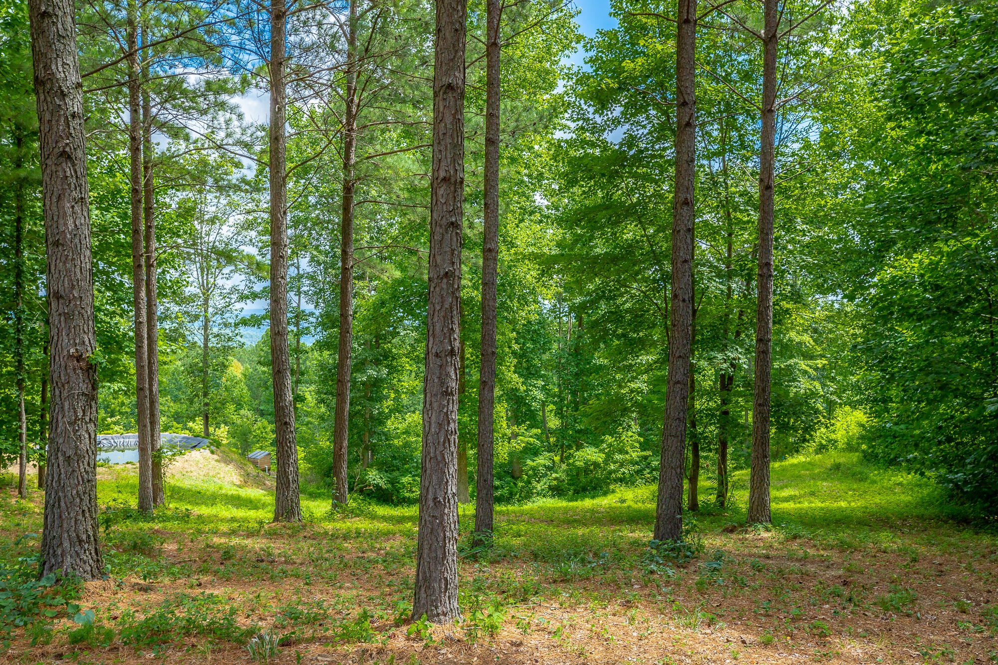 0 Lookout View Drive, Unit 171 Jasper, TN 37347 - Photo 12 of 72 Lookout View Drive Lot 171 HD-6