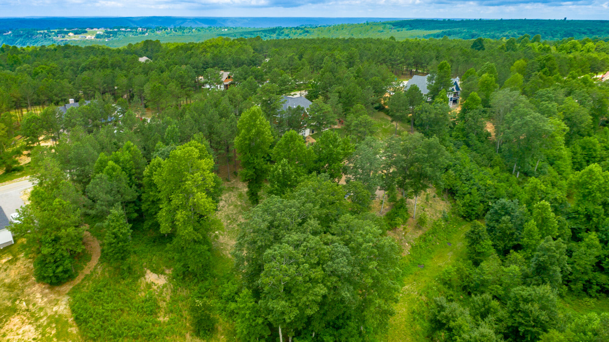 0 Lookout View Drive, Unit 171 Jasper, TN 37347 - Photo 35 of 72 Lookout View Drive Lot 171 HD-30