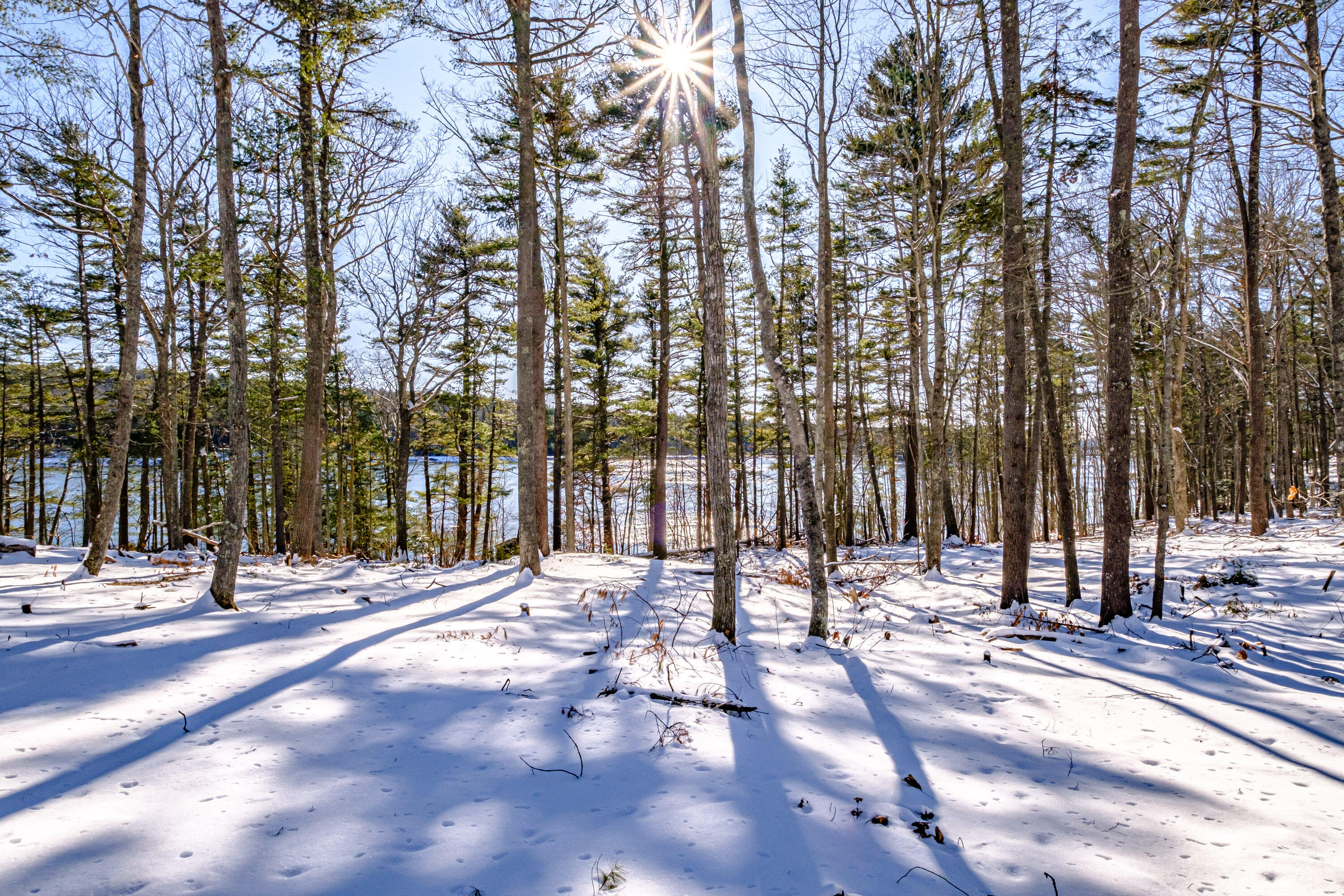 Tbd Brown Road Wiscasset, ME 04578 - Photo 18 of 24 20250130gp-62064