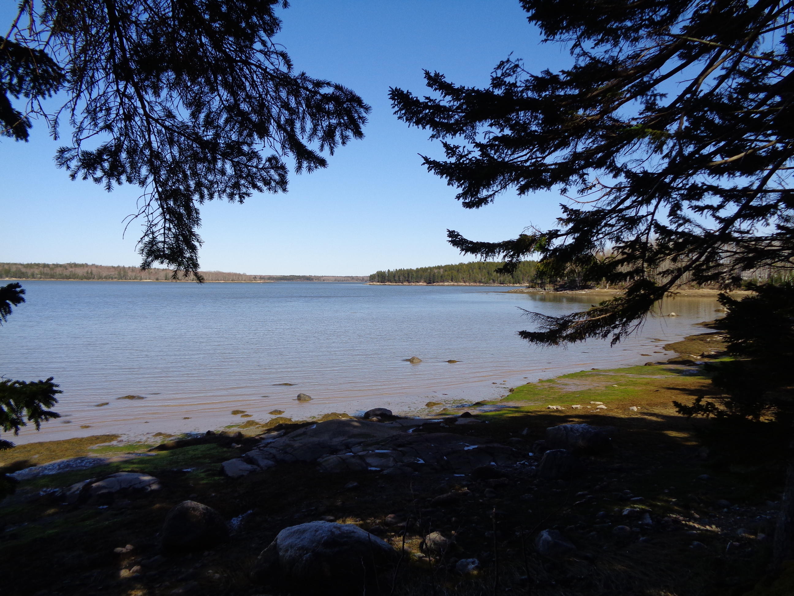 177 F Rays Point Road Milbridge, ME 04658 - Photo 5 of 14 DSC02935