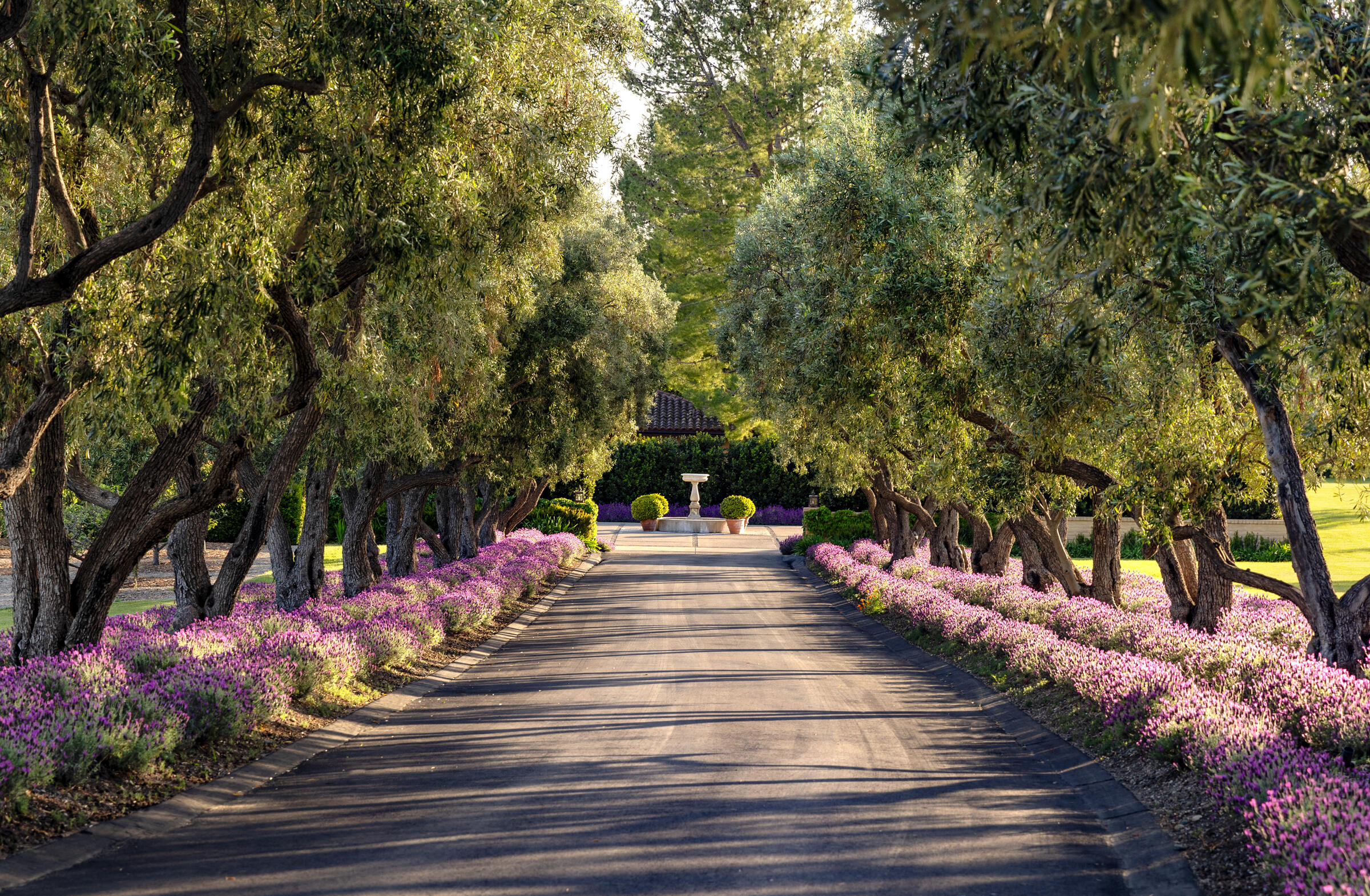 1620 Westerly Road Santa Ynez, CA 93460 - Photo 2 of 41 Majestic approach