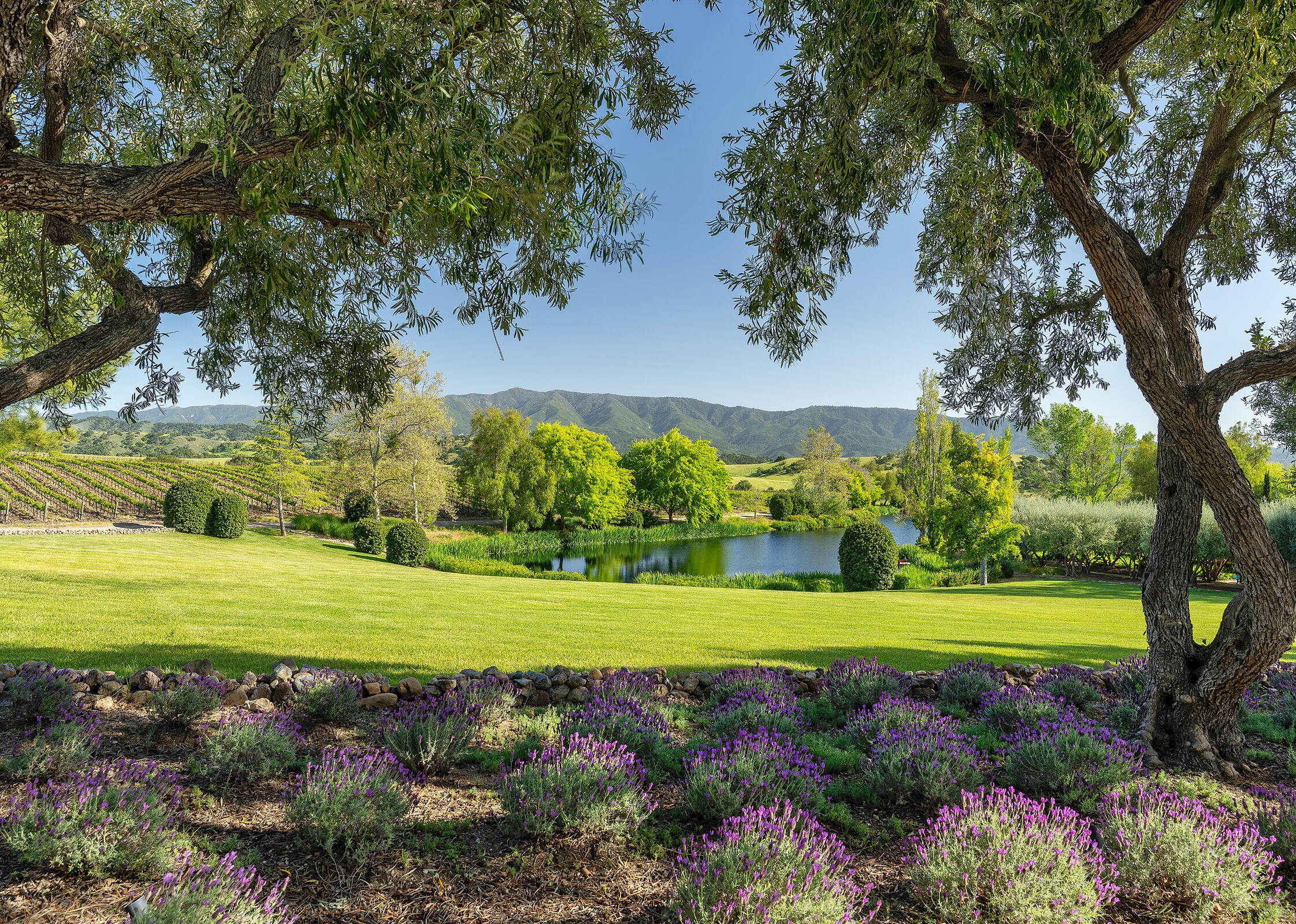 1620 Westerly Road Santa Ynez, CA 93460 - Photo 9 of 41 a view of a golf course with a big yard