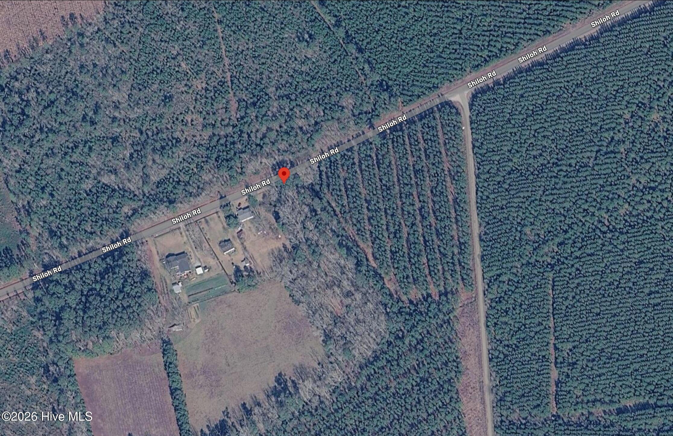 0 Shiloh Road Willard, NC 28478 - Photo 12 of 13 photo12