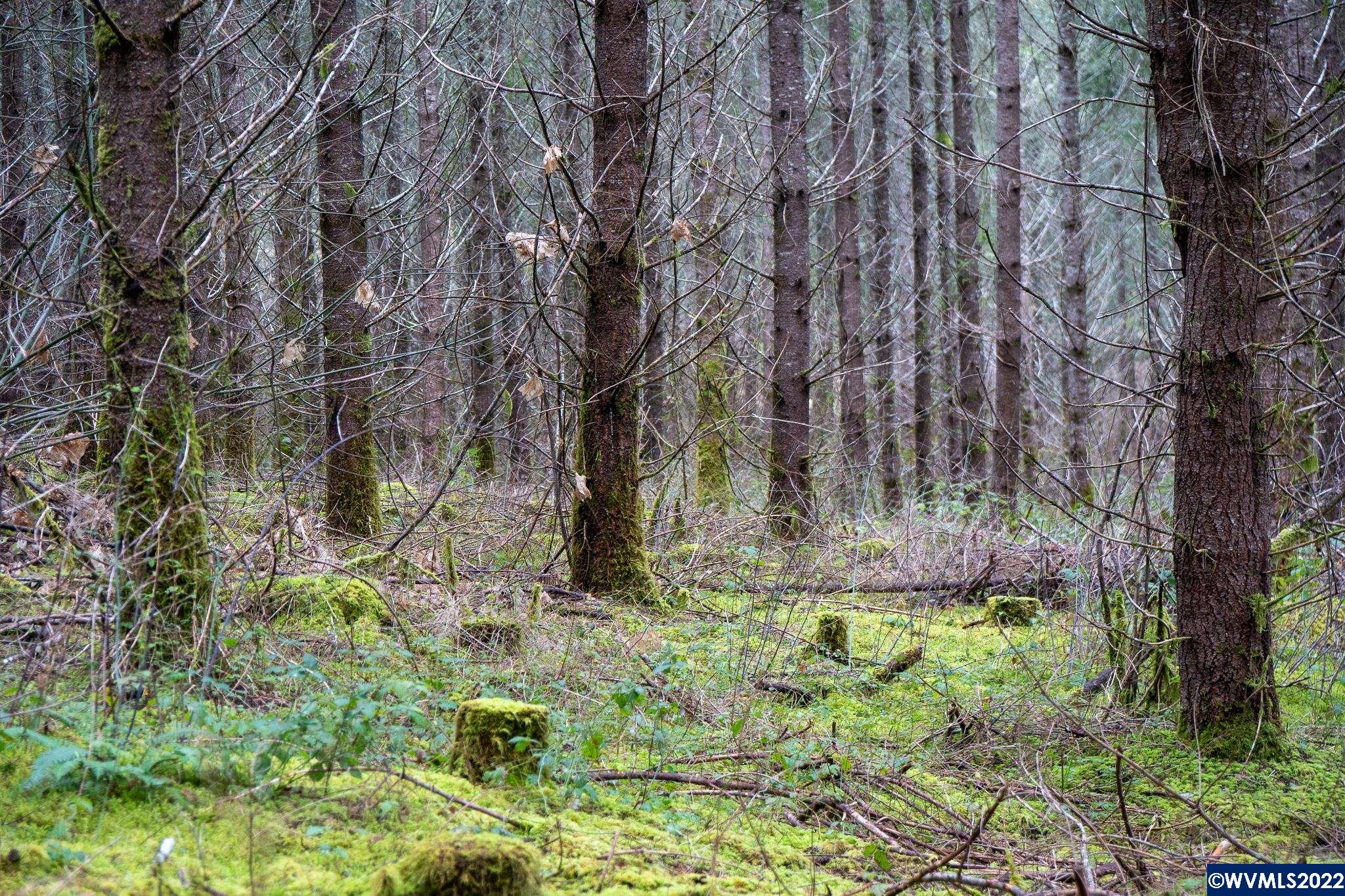 Na Green Peak Road Monroe, OR 97456 - Photo 17 of 26 Gallery Image 17