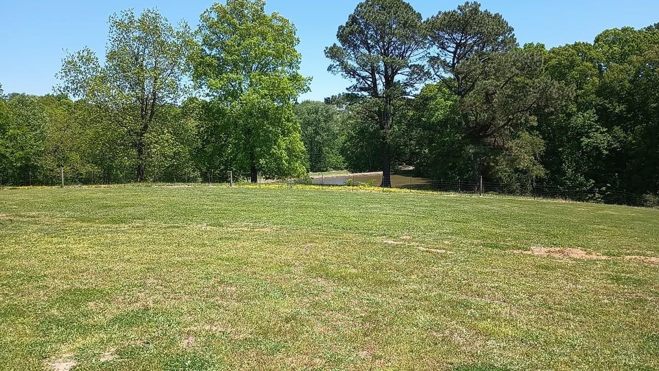 2158 Barlow Road Ripley, TN 38063 - Photo 3 of 18 Expansive grass lawn bordered by mature trees and natural foliage