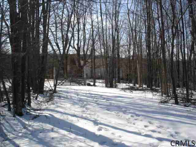 719 Guinea Road Gilboa, NY 12122 - Photo 1 of 1 Photo 1