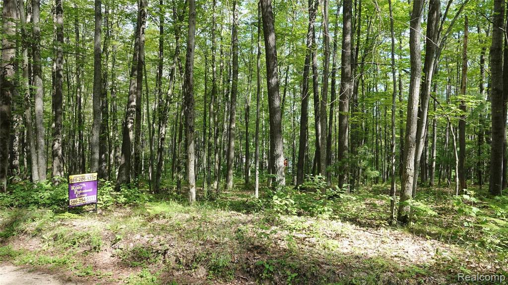 0 Dyer Road Rose City, MI 48654 - Photo 2 of 8 Gallery Image 2