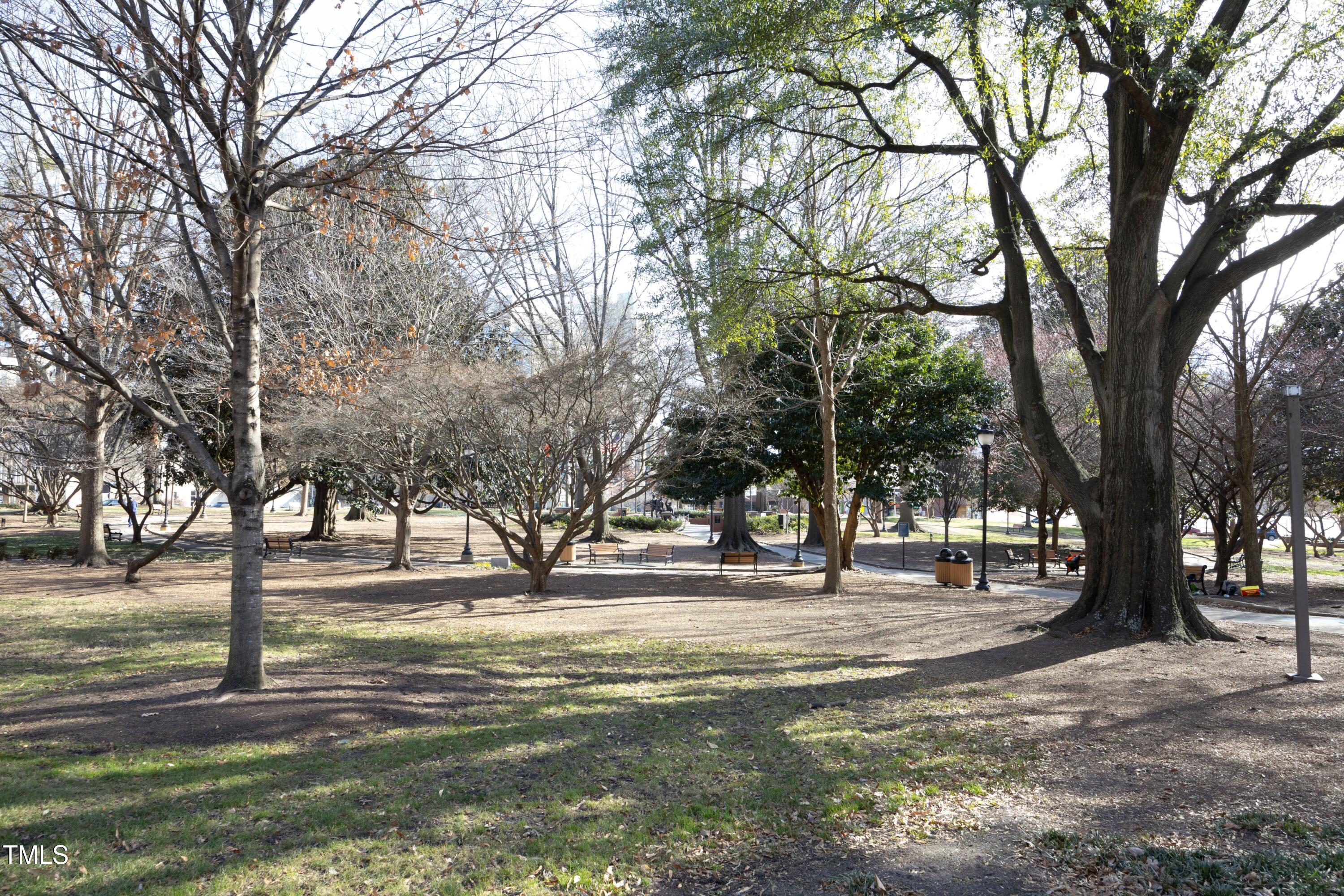200 South Dawson Street, Unit 209 Raleigh, NC 27601 - Photo 40 of 44 39ParkAcrossStreet