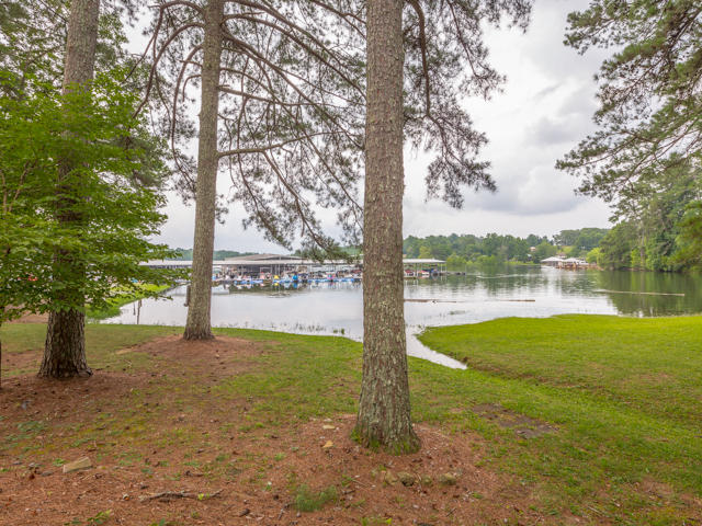 1136 Clift Cave Road Soddy Daisy, TN 37379 - Photo 1 of 12 Lake view
