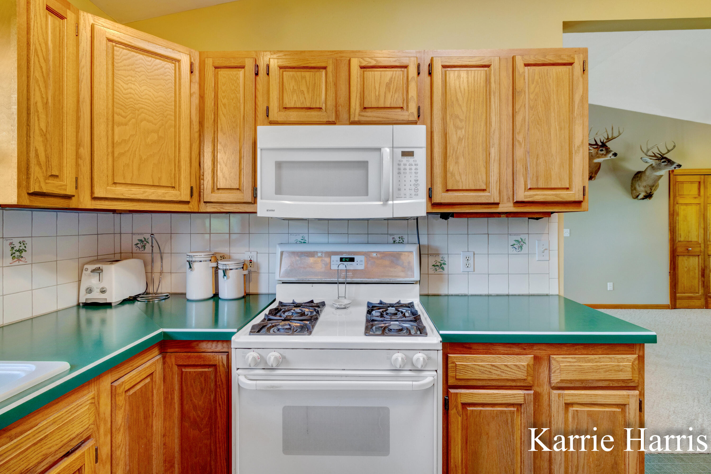 6048 Cedar Lake Road Southeast Sheridan, MI 48884 - Photo 11 of 39 Kit