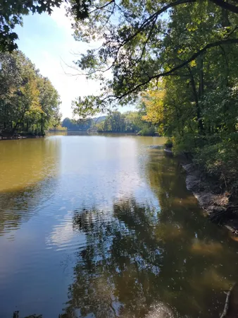 $90,000 | 0 Shirley Bates Road, Clifton, TN 38425