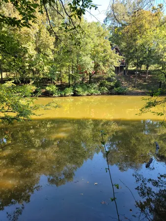 $90,000 | 0 Shirley Bates Road, Clifton, TN 38425